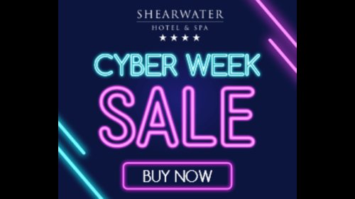 Cyber Sale Early Access