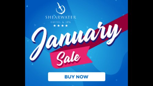 January Sale  