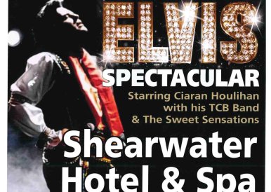 ELVIS Spectacular Show 